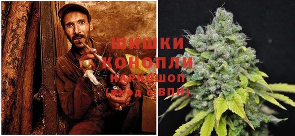 шишки Алзамай