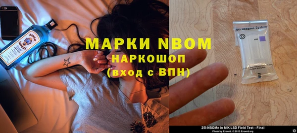 шишки Алзамай