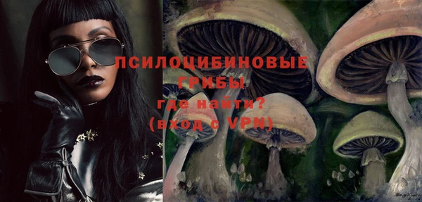 амф Алексеевка