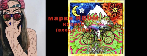 шишки Алзамай