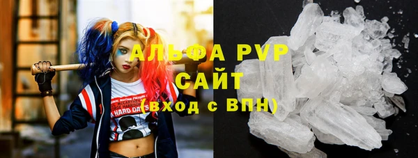 шишки Алзамай